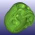 Celtic Skull 3D Scan (Hollow) image