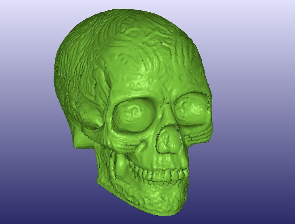 Celtic Skull 3D Scan (Hollow)