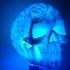 Spook Skull 3D Scan (Hollow) image