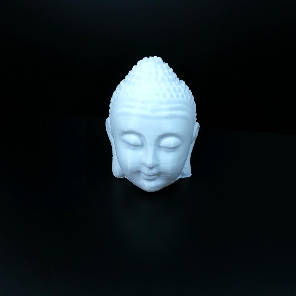 Buddha Head 3D Scan (Made Hollow)
