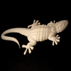 Picture of print of Gecko This print has been uploaded by Vaclav Krmela