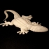 Gecko print image