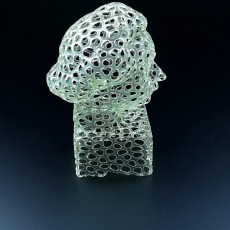 Picture of print of Einstein Bust (Voronoi Style)