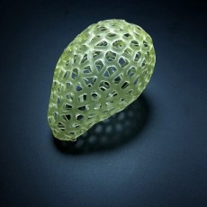 Picture of print of Pear Voronoi Style This print has been uploaded by Li Wei Bing