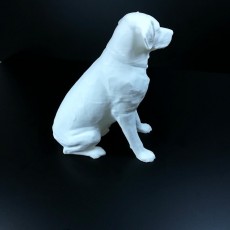 Picture of print of Labrador Sculpture (Dog Statue Color 3D Scan) This print has been uploaded by Li Wei Bing