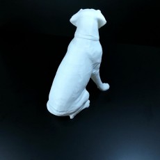 Picture of print of Labrador Sculpture (Dog Statue Color 3D Scan) This print has been uploaded by Li Wei Bing