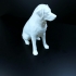 Labrador Sculpture (Dog Statue Color 3D Scan) image