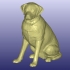 Labrador Sculpture (Dog Statue Color 3D Scan) image