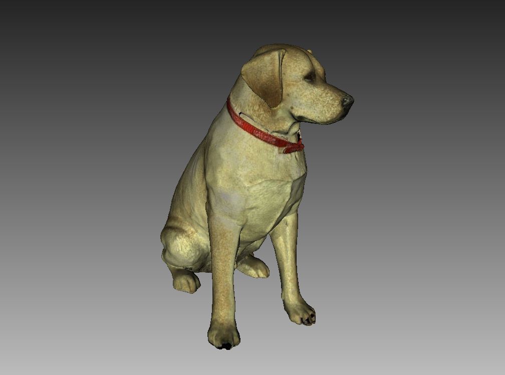 Labrador Sculpture (Dog Statue Color 3D Scan)