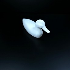 Picture of print of Vintage Duck Decoy 3D Scan This print has been uploaded by Li Wei Bing