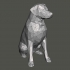 Low Poly Labrador (Dog Statue) image