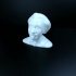 Albert Einstein Bust image