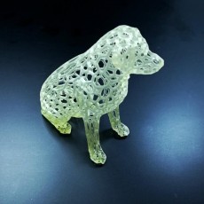Picture of print of Labrador Sculpture Pattern (Voronoi Style)