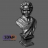 Mozart Bust (Statue 3D Scan) image