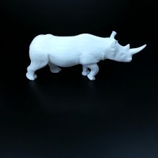 Picture of print of Rhino This print has been uploaded by Li Wei Bing