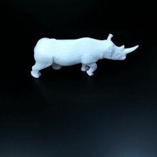 Picture of print of Rhino This print has been uploaded by Li Wei Bing