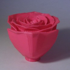 Picture of print of Jillian's Rose Fixed (Made Solid With MeshMixer)