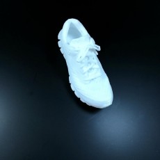 Picture of print of Reebok Realflex 3D Scan This print has been uploaded by Li Wei Bing