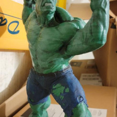 Picture of print of Hulk 3D Scan 这个打印已上传 Guns Golf and Gadgets Guy