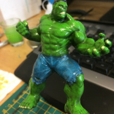 Picture of print of Hulk 3D Scan This print has been uploaded by Benjamin Meulemans