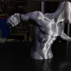 Picture of print of Spider-Man 3D Scan 这个打印已上传 antonis