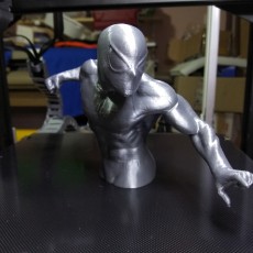 Picture of print of Spider-Man 3D Scan This print has been uploaded by antonis
