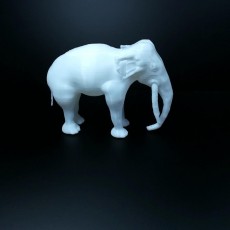 Picture of print of Chinese elephant This print has been uploaded by Li Wei Bing