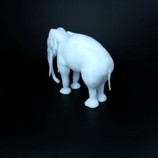 Picture of print of Chinese elephant This print has been uploaded by Li Wei Bing