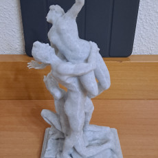 Picture of print of Rape of the Sabine - Giambologna Florence - My Version This print has been uploaded by Perico Botero Luzbell
