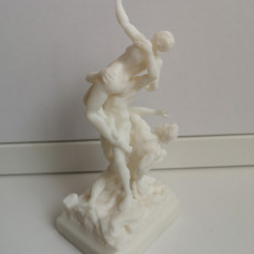 Picture of print of Rape of the Sabine - Giambologna Florence - My Version