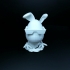 Hybrid Easter Bunny image