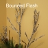 Sony Flash Bounce image
