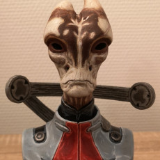 Picture of print of Salarian bust - Mass Effect This print has been uploaded by Artturi Korhonen