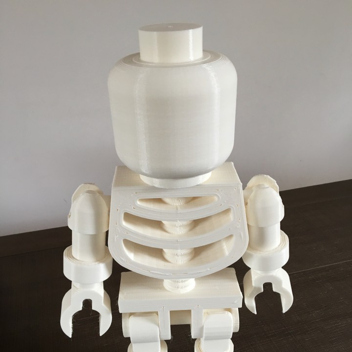 Giant LEGO Skeleton