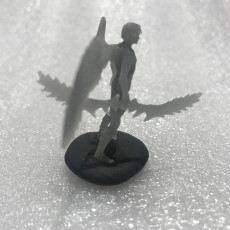 Picture of print of Half Celestial Archer