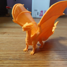 Picture of print of Copper Dragon This print has been uploaded by Kevin Norris