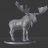 Moose Miniature image