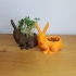 bunny cress-planter image