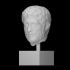 Portrait of a Roman man image