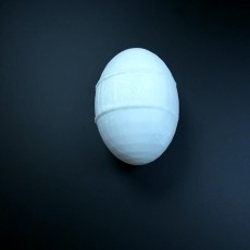 Picture of print of Egg with rings