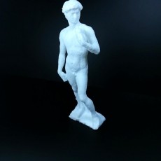 Picture of print of Blocky David By Michelangelo