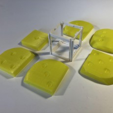 Picture of print of RealDiceBox