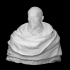 Bust of an unknown Man image