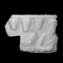 Fragment of a Tub-shaped Sarcophagus image