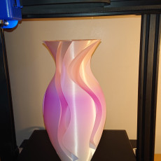 Picture of print of Experimental Vase
