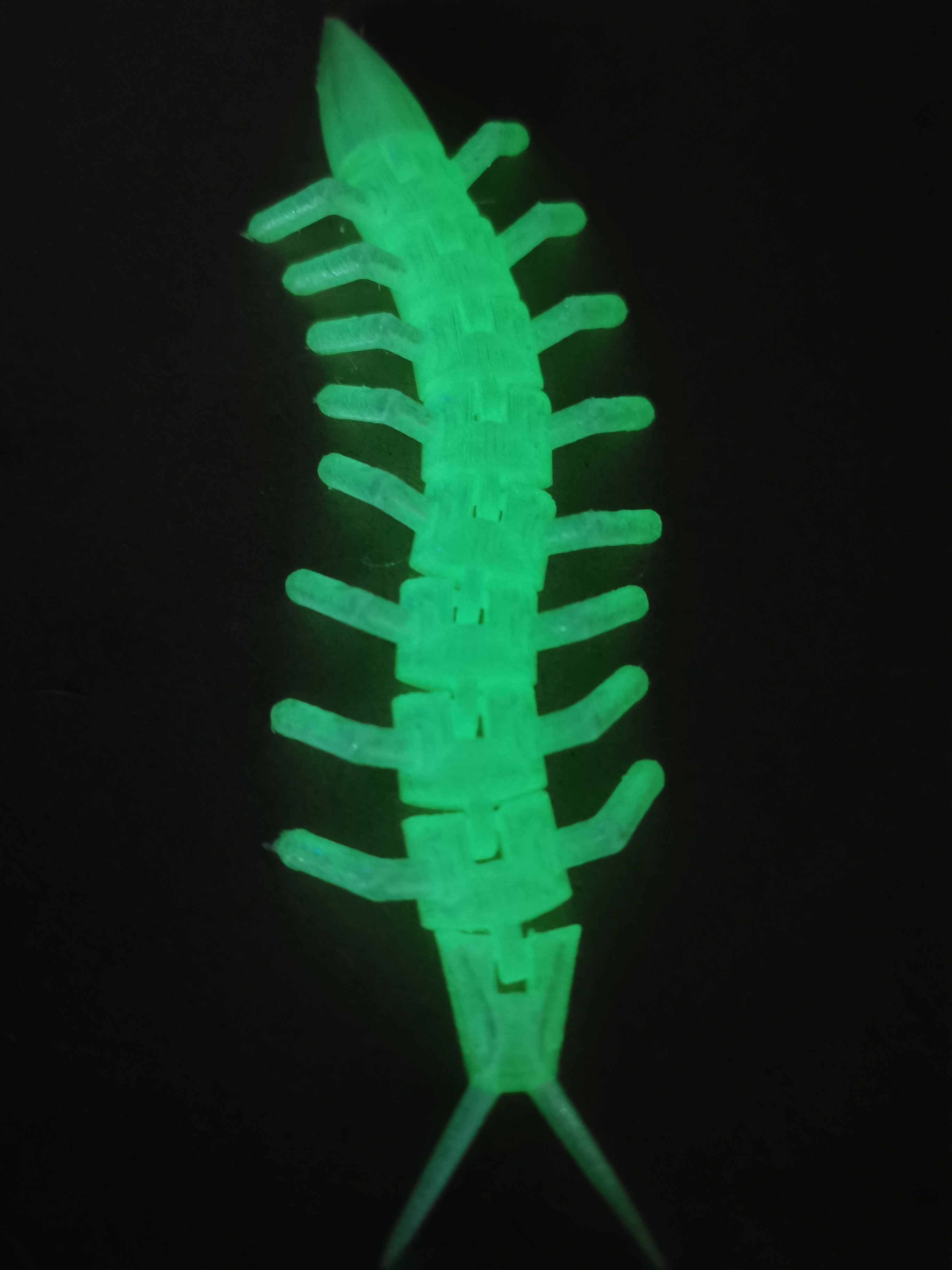 3D Printable Flexi Bugs by Brandon Blinkenberg