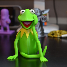 Picture of print of Kermit the Frog