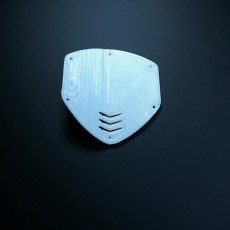 Picture of print of V-Moda Shield