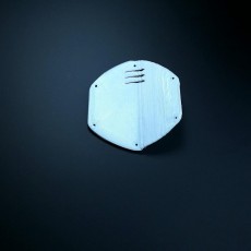 Picture of print of V-Moda Shield