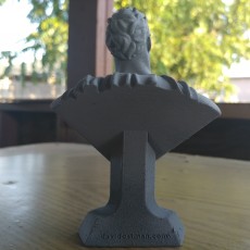 Picture of print of Man of Steel Bust